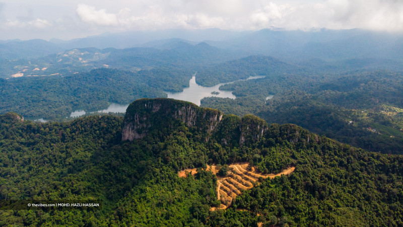Bukit Tabur forest clearing: outrage as law broken yet again