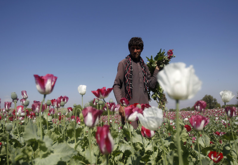 India seizes US$2.7 bil Afghan heroin haul amid Kabul takeover chaos