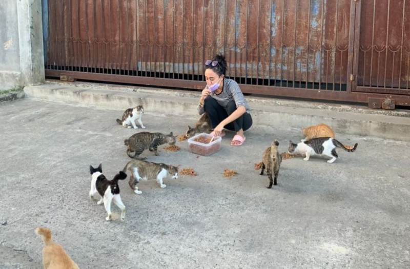 Sandakan’s kind souls feeding stray animals during the pandemic