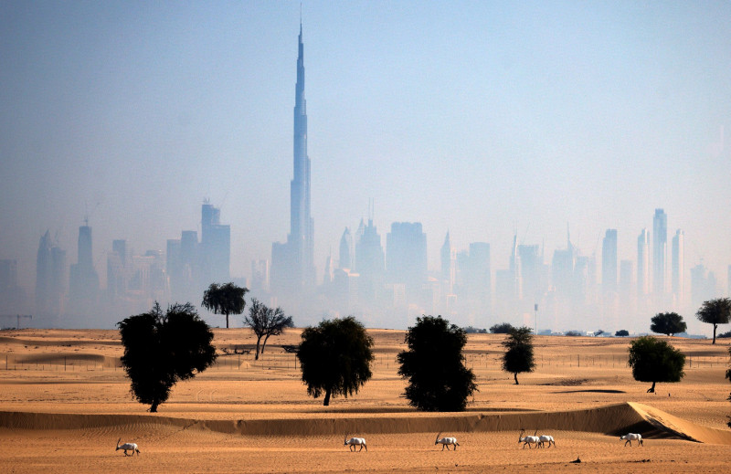 Dubai Expo to welcome millions in biggest event since pandemic