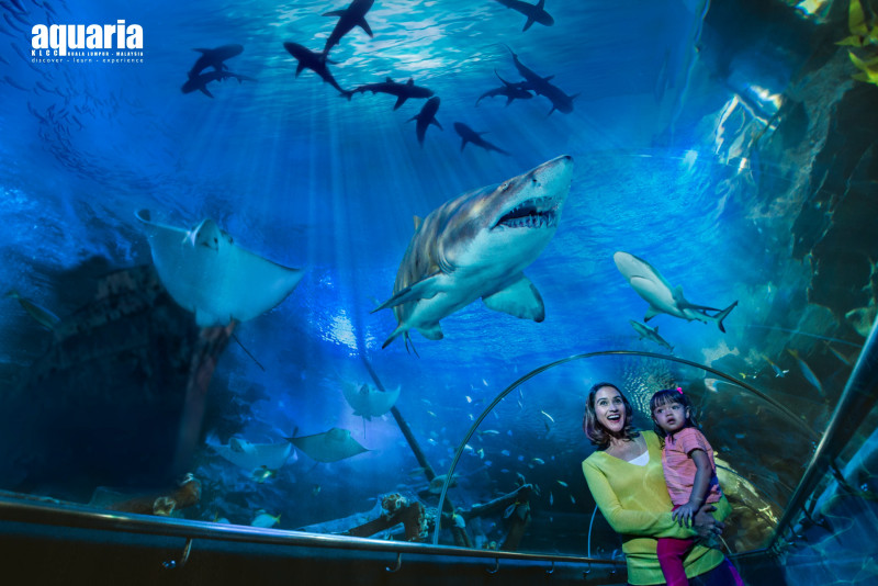 Klook’s 'Upgrade Your Weekend' invites Malaysians to enjoy Klang Valley attractions