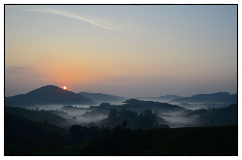 Photo of the Week: Cameron Highlands by Philippe Durant