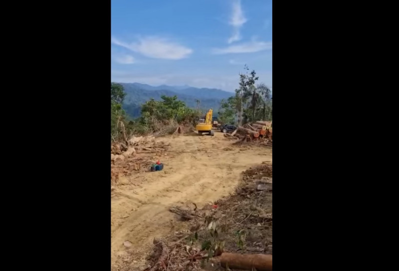 NGO president brings to light suspected logging in Bentong