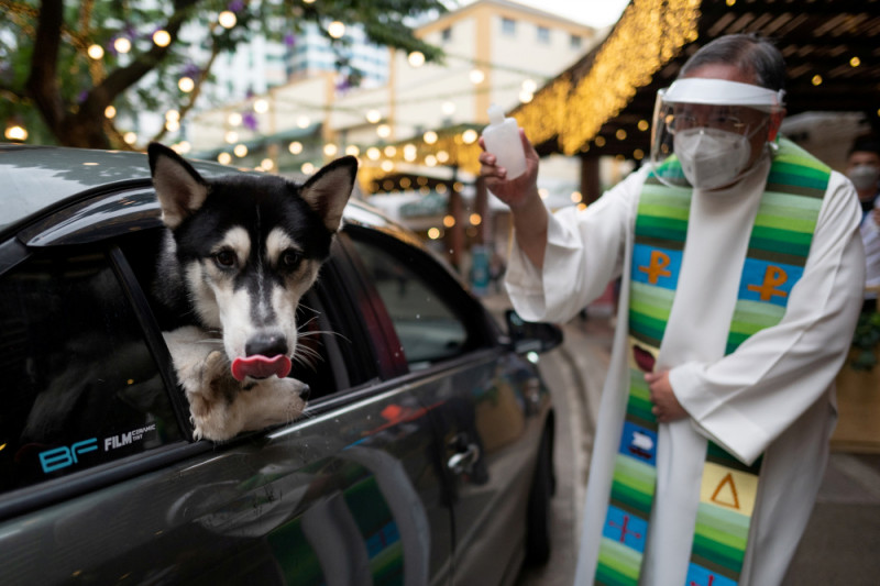 Philippines pets receive blessings in drive-through ceremony