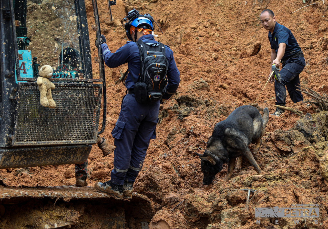 Rescuers pin a teddy bear, believed to belong to one of the young victims, onto an excavator to keep their spirits strong in their mission to find the final Batang Kali landslide victim. – SAIRIEN NAFIS/The Vibes pic, December 25, 2022