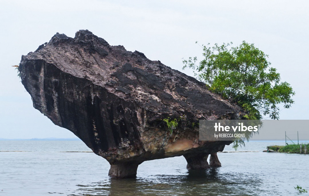 The Batu Sapi constituency got its name from a big rock that looks like a cow. – The Vibes file pic, March 30, 2021