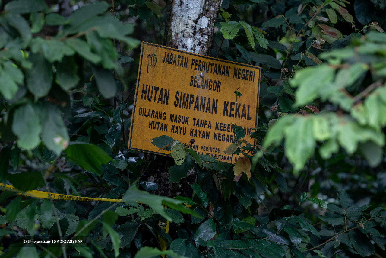 State parks in Malaysia are now classified under ‘permanent reserve forests’ to ensure of its protection and conservation. – SADIQ ASYRAF/The Vibes pic, January 6, 2022