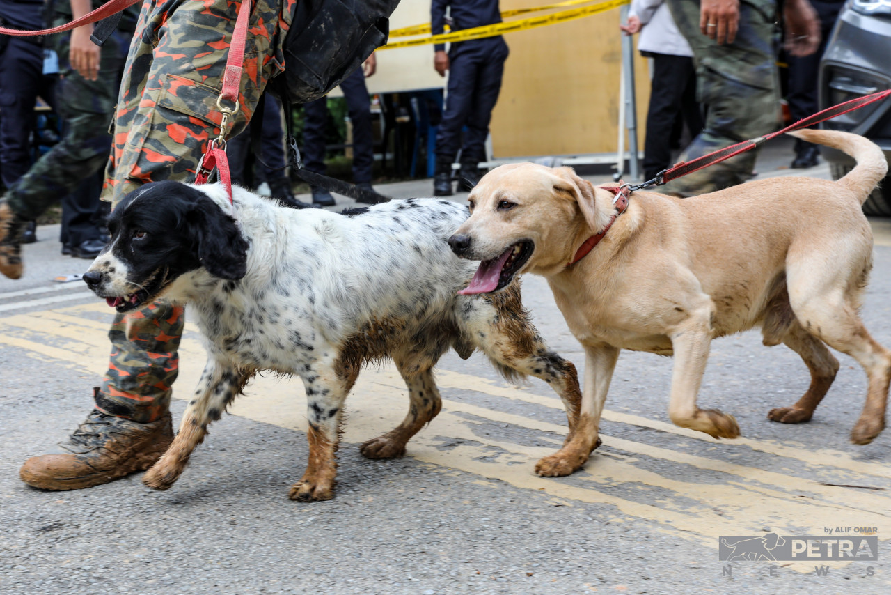 Datuk Seri Ahmad Zahid Hamidi says rescue teams are using the services of detection dogs to locate buried bodies in the aftermath of the Batang Kali landslide. – ALIF OMAR/The Vibes pic, December 16, 2022