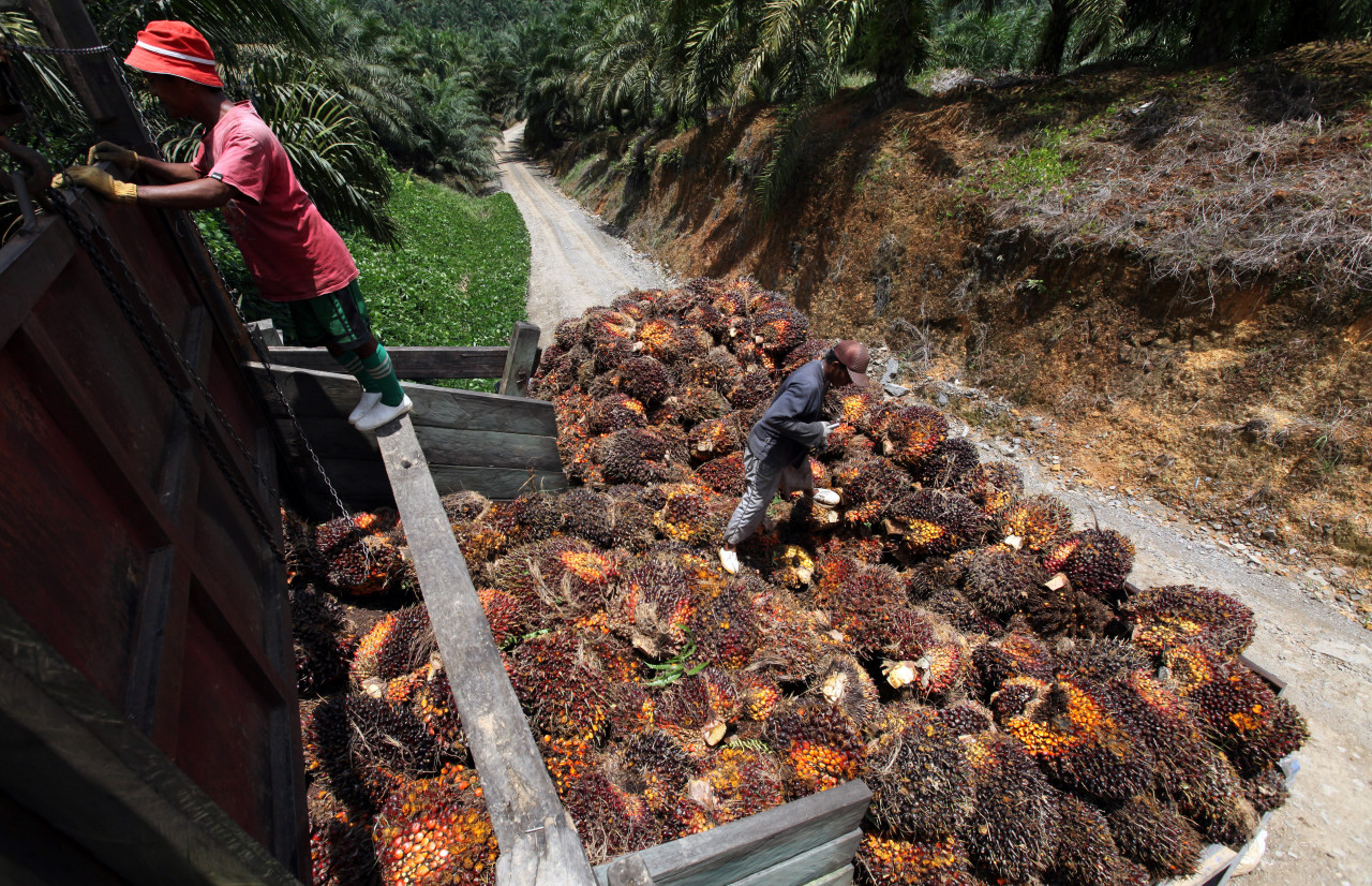 The United States Customs and Border Protection has in recent years issued eight withhold release orders to eight Malaysian companies in the rubber and plantation sectors, effectively barring them from exporting to the US. – FGV pic, May 1, 2022