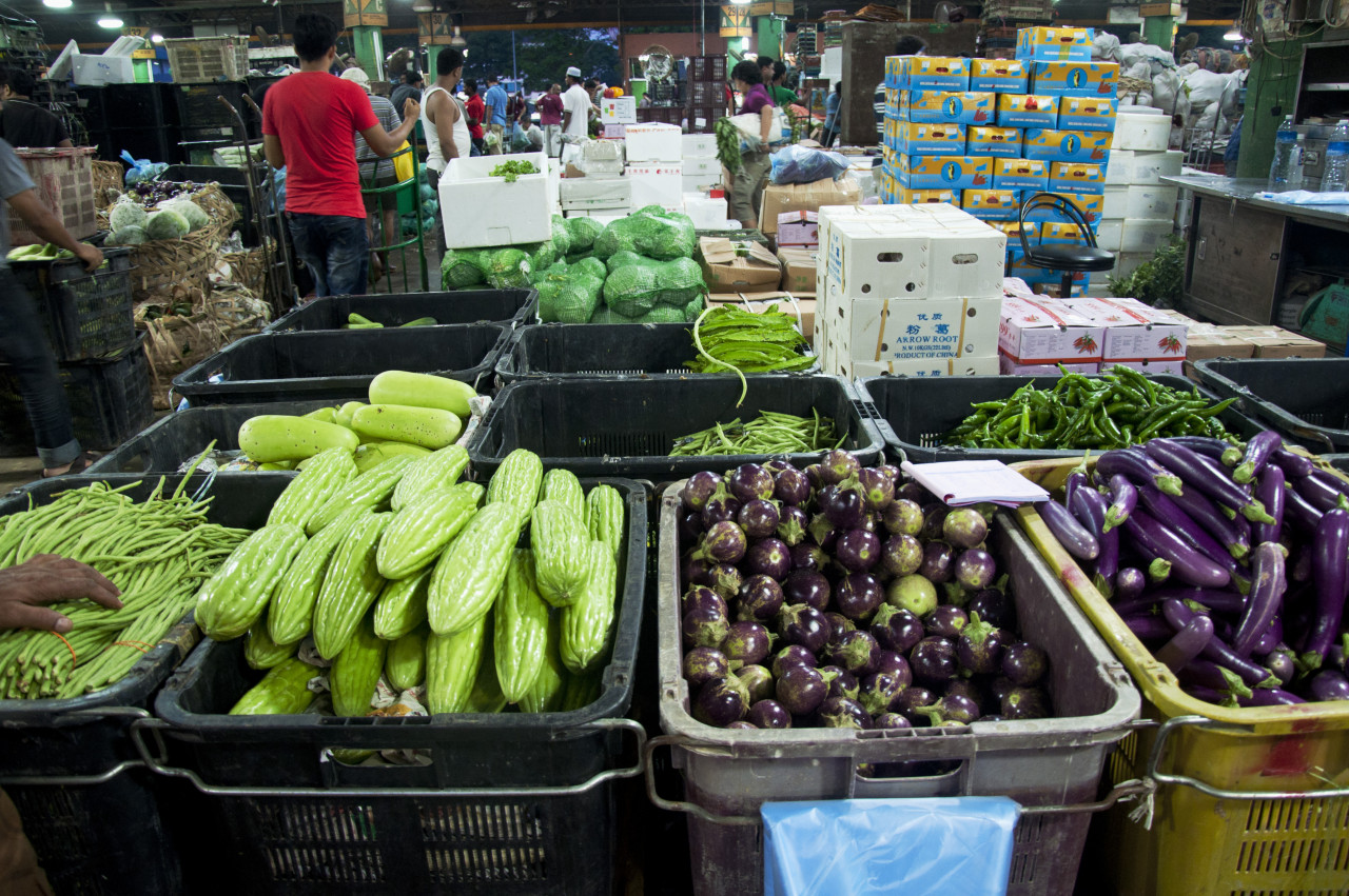 Local authorities should allow the Agriculture Department in all states to assist, approve and support budding farmers. – Mohd Juhary Wordpress pic, February 14, 2021