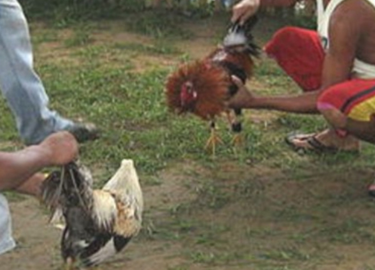 Calls have surfaced for longhouse folk who continue to cause outbreaks by holding such merry-making gatherings to be punished with the maximum RM10,000 fine. – The Vibes pic, March 7, 2021