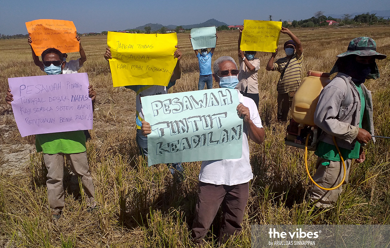 Farmers demonstrating at Pinang Tunggal near Kepala Batas, Penang, over Nafas’ padi seed sales monopoly. – The Vibes file pic, March 14, 2021
