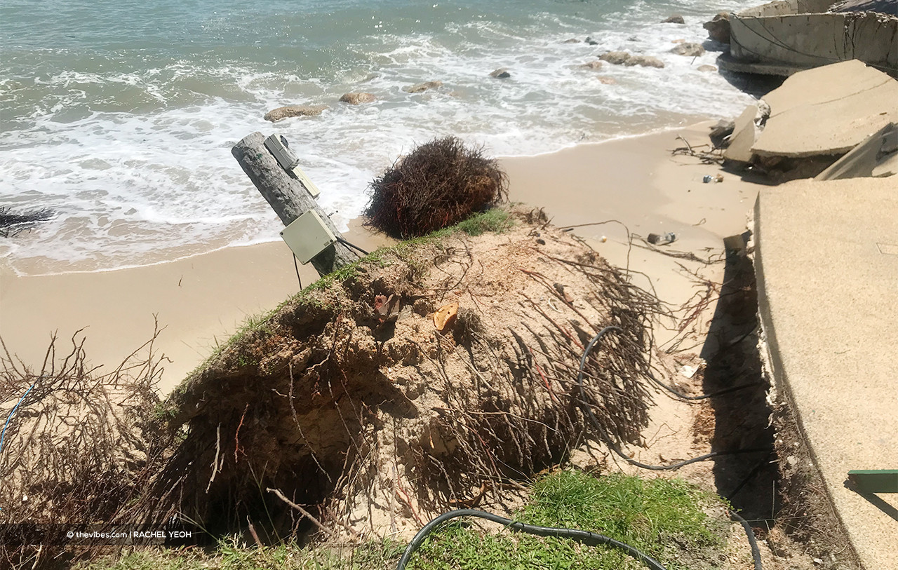 Some say the erosion caused the uprooting of some 50 trees due to the removal of sediment along the coastline. – RACHEL YEOH/The Vibes pic, April 28, 2021 