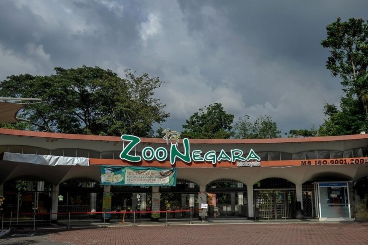 All close contacts of the Covid-19 cases that surfaced at Zoo Negara have been tested, says its deputy president. – Bernama pic, July 2, 2021