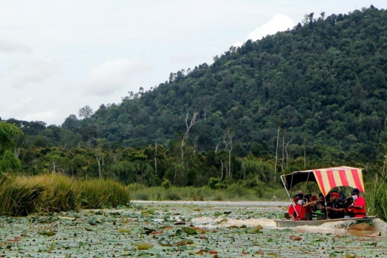 Much has been said about alleged pollution and rampant incursions in Tasik Chini that have disturbed its delicate ecosystem. – Bernama pic, September 17, 2021