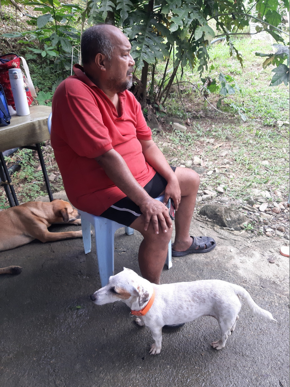 Salehin Ibrahim ponders his fate after the December 18 floods, which hit his K9 Cottage animal therapy centre. His dogs Patch (white) and Nymeria (brown) which swam through strong currents at the height of the floods seem to be also pondering their future. – Pic courtesy of Saifol Shamlan