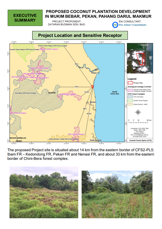 Some 414.398ha of secondary peat forest in Pekan, Pahang is proposed to be cleared for a coconut plantation, according to an EIA submitted by Dataran Budiman Sdn Bhd. – Screen grab pic, April 18, 2022
