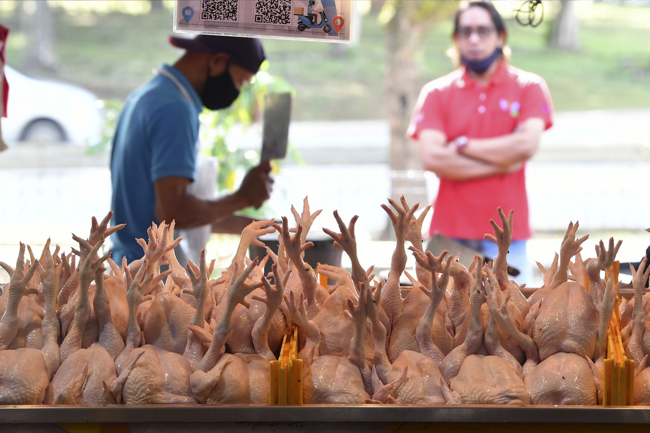 Datuk Ameer Ali Mydin says prices are not projected to immediately drop even though availability of chickens is expected to improve as a result of government measures, noting the high cost elsewhere globally. – Bernama pic, May 26, 2022
