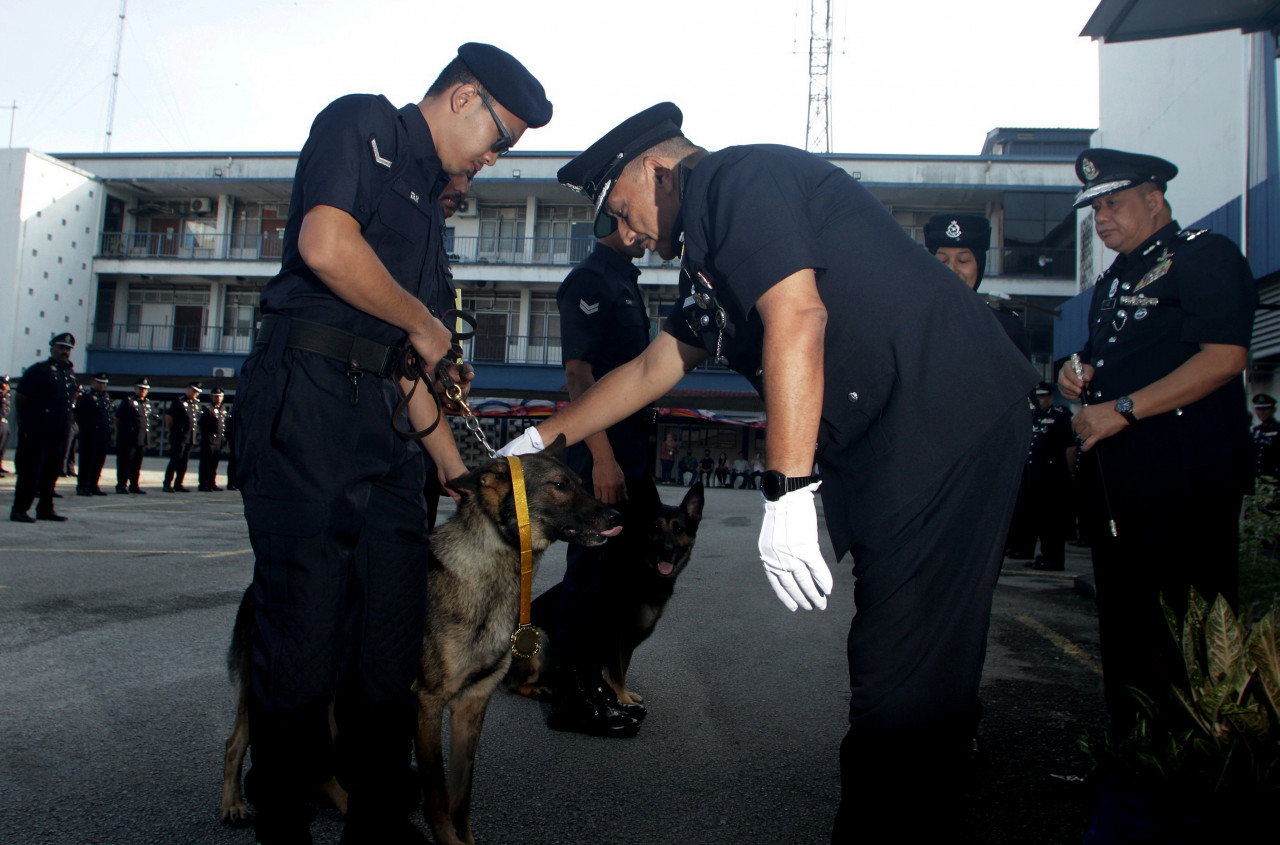Perak police chief Datuk Mior Faridalathrash Wahid pats one of the police tracker dogs after awarding the canines for their excellent service in locating and rescuing missing persons this year. – Bernama pic, June 14, 2022