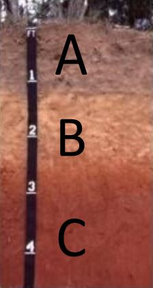 Soil that has remained undisturbed over a long period of time, exists in layers with varying thickness and properties. – Pic courtesy of Ghulam M. Hashim, July 13, 2022