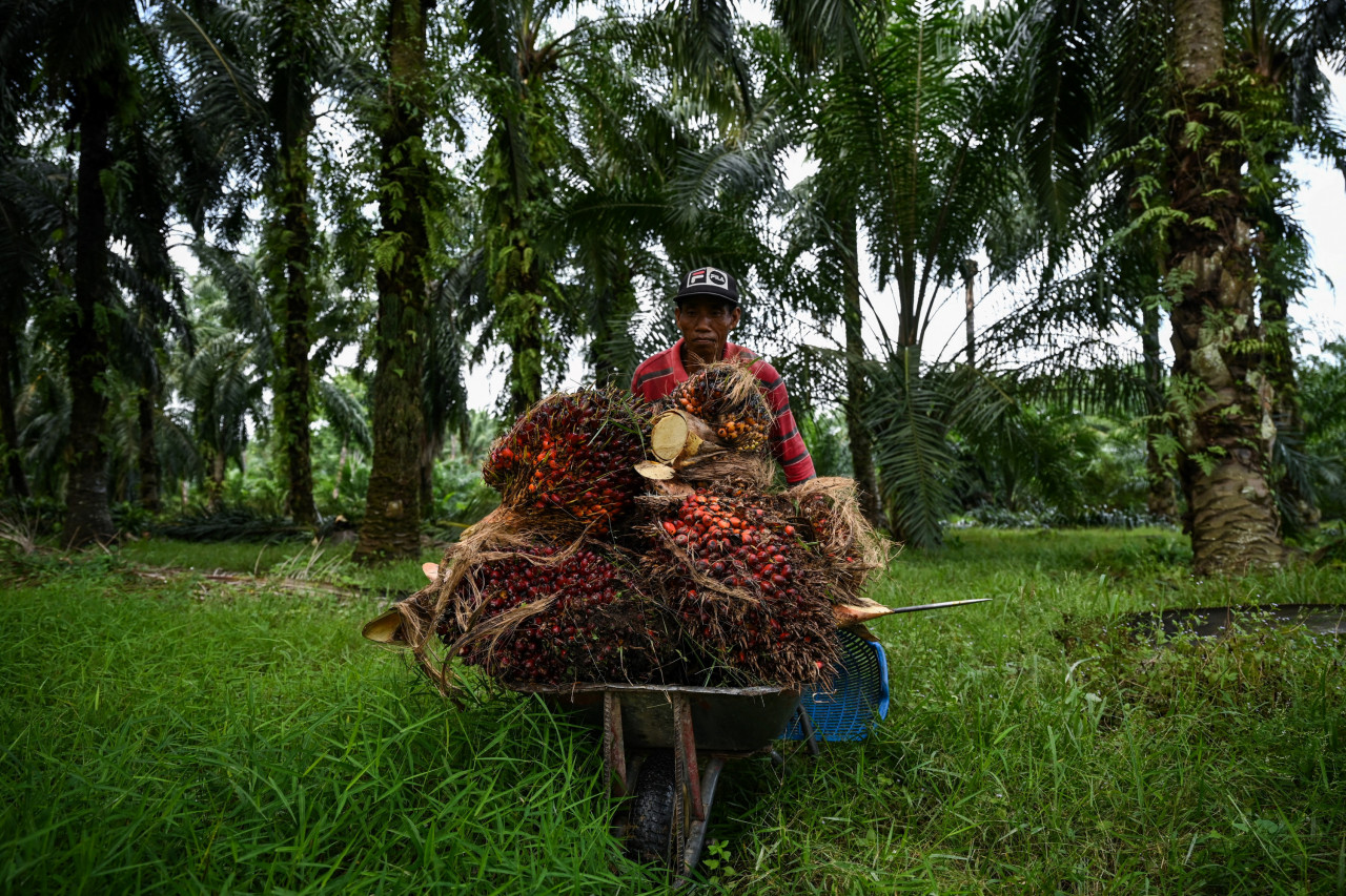 Sim Tze Tzin notes that Malaysia has been successful in exporting palm oil to the world. – AFP pic, October 2, 2022
