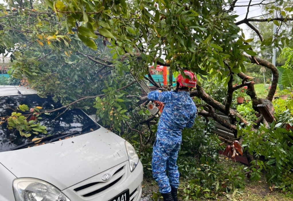 In Miri city, Civil Defence personnel have been sent to the areas where trees were uprooted. – Miri Civil Defence Unit pic, August 6, 2022