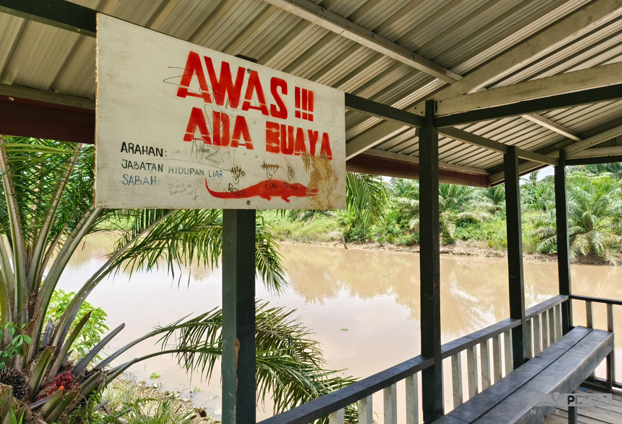 If the hanging bridge snaps, villagers are not only at risk of drowning, but also of getting attacked by crocodiles in Sg Batang. – REBECCA CHONG/The Vibes pic, October 4, 2022
