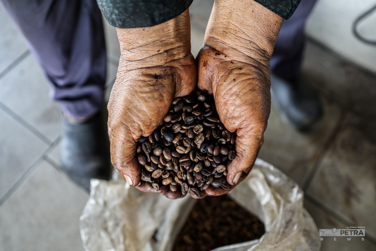 Tan displays the roasted coffee beans. He believes the traditional charcoal roasting method gives the coffee a unique aroma and flavour not found in beans processed by modern methods. – SYEDA IMRAN/The Vibes pic, October 1, 2022  