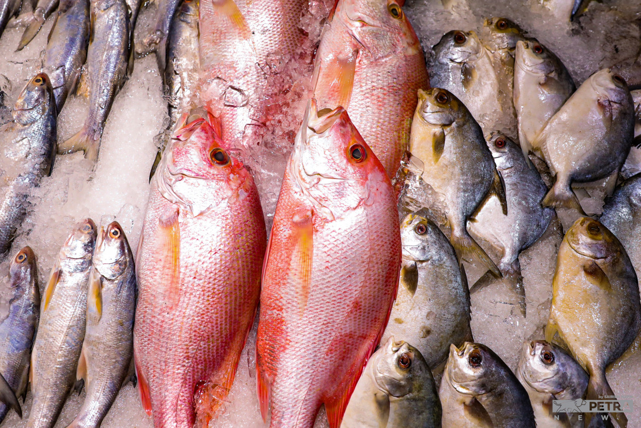 Some consumers have chosen to forego seafood, with chicken being preferred as its price is controlled. – The Vibes file pic, November 1, 2022