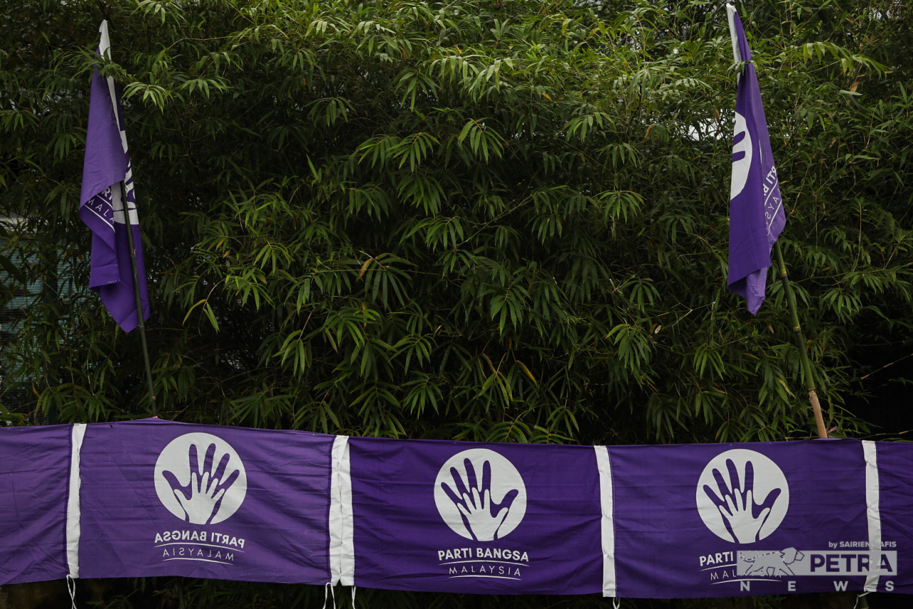 Parti Bangsa Malaysia flags at Taman Seri Ampang in Ampang, Kuala Lumpur. The newly formed party is making its first election appearance, which also marks its flag-war debut. – SAIRIEN NAFIS/The Vibes pic, November 10, 2022