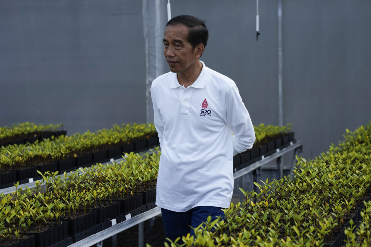 President Joko Widodo desires a single narrative (narasi tunggal) and a population that supports his policies unconditionally. – AFP pic, January 16, 2023