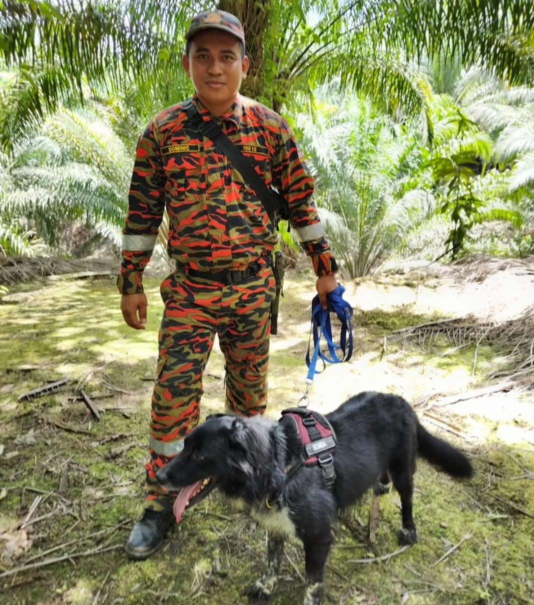 Tracker dog Daisy with her handler, after having found the 2-year-old boy today. – Pic courtesy of Sarawak Fire and Rescue Department, February 16, 2023