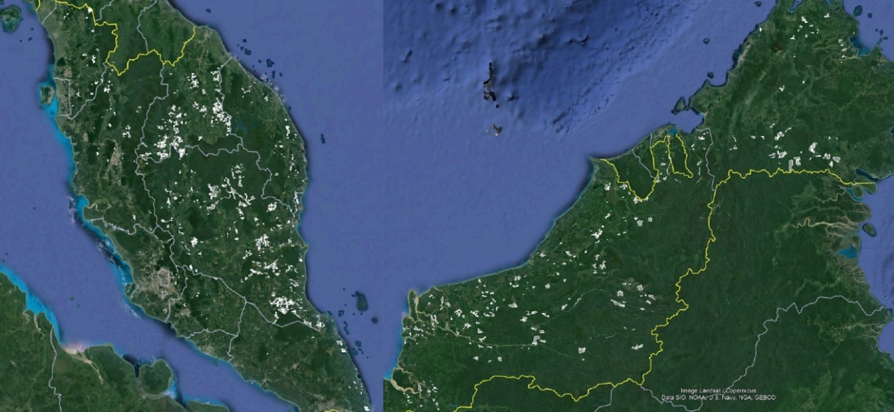 Figure 1: Deforestation from 2017 to 2021 in white. – RimbaWatch pic, March 21, 2023