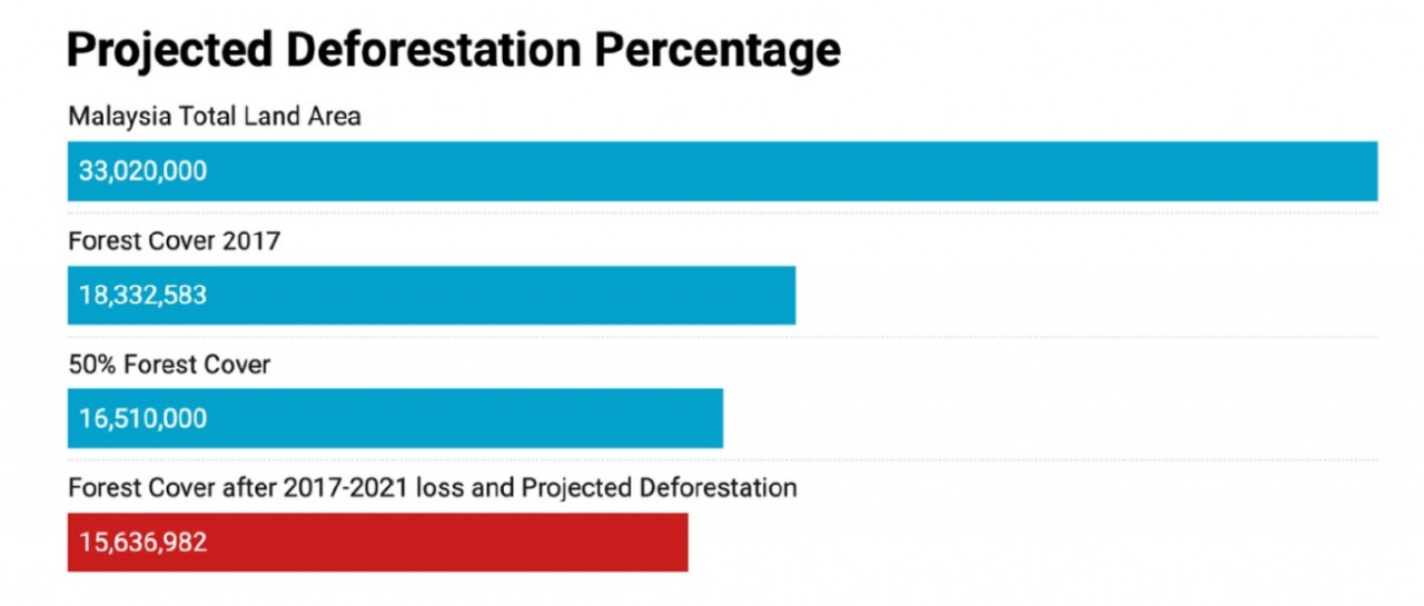 Figure 4: Future forest cover projection. – RimbaWatch pic, March 21, 2023