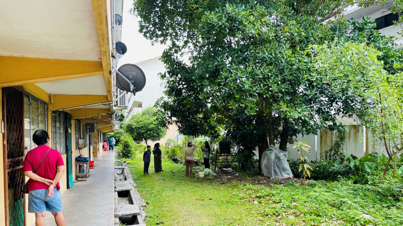 Several residents of the Tg Aru low-cost flats collect fruits grown nearby. This will be their final Hari Raya Haji together, as they must vacate their units today. – JASON SANTOS/The Vibes file pic, June 30, 2023