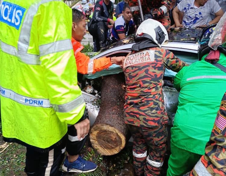 Rescuers at work after an uprooted tree fell on vehicles in Kuala Lumpur. – Fire and Rescue Department pic, May 7, 2024. 