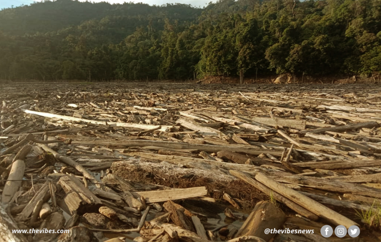 Since January, tonnes of timber logs and debris from logging zones have jammed up Sg Balui and its tributaries in the upper reaches of Bakun Dam in Belaga district, cutting off more than a thousand natives. – File pic, August 24, 2021