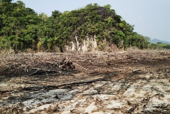 The barren site near Four Seasons, Langkawi is famed for its mangrove forests and is part of Sg Kilim ecology. – Pic courtesy of Irshad Mobarak, April 17, 2023