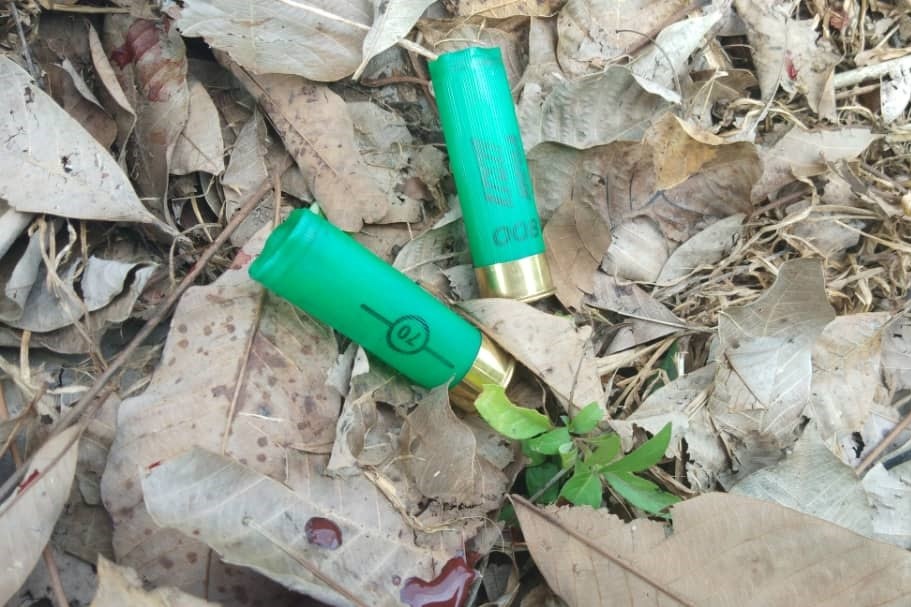 Shotgun shells left behind by Perhilitan personnel after the shooting in Port Dickson, Negri Sembilan. – Pic courtesy of Nurul Azreen Sultan, May 24, 2021
