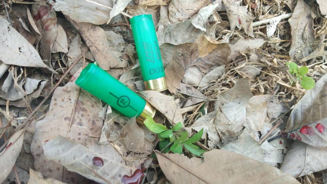 Shotgun shells left behind by Perhilitan personnel after the shooting in Port Dickson. – Pic courtesy of Nurul Azreen Sultan, May 23, 2021