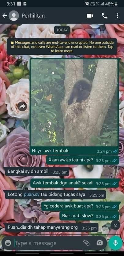 A WhatsApp conversation with a Perhilitan worker over the shooting on Wednesday, in which the personnel argues the monkeys had attacked residents in the area. – Pic courtesy of Nurul Azreen Sultan, May 23, 2021
