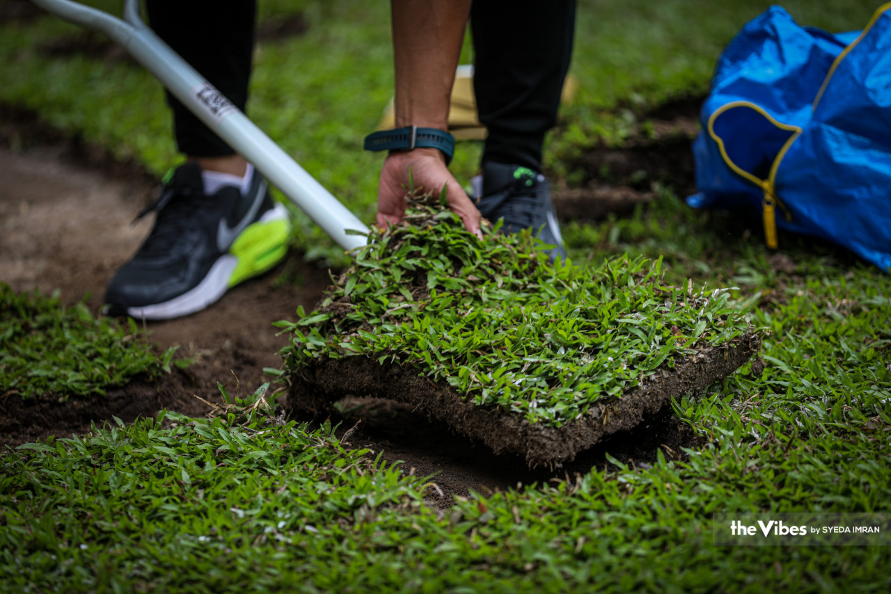A grass patch measuring 1sqft was offered to the public in conjunction with the work of replacing the Bukit Jalil National Stadium pitch with the Zeon Zoysia variety, with work expected to start tomorrow. – SYEDA IMRAN/The Vibes pic, March 31, 2023
