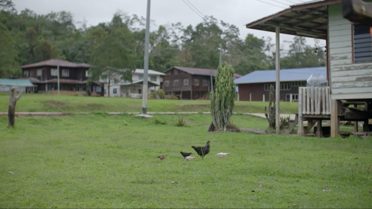 Ba’kelalan voters are secure where food is concerned – our rice comes from our fields, we rear poultry, and grow vegetables in our backyard, notes candidate Agnes Padan. – Screen grab, December 12, 2021