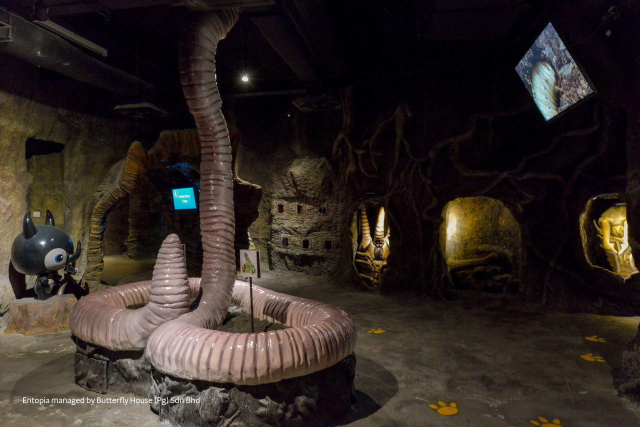 Many Penang hotels, much like Entopia, have no choice but to close until the movement restrictions are eased. – Pic courtesy of Entopia, June 2, 2021