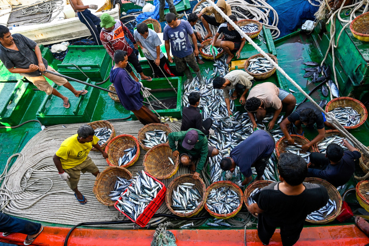 Fish is a crucial source of protein in Indonesia, which is the second-largest fisheries producer after China and whose economy depends largely on the industry. – AFP pic, February 10, 2023
