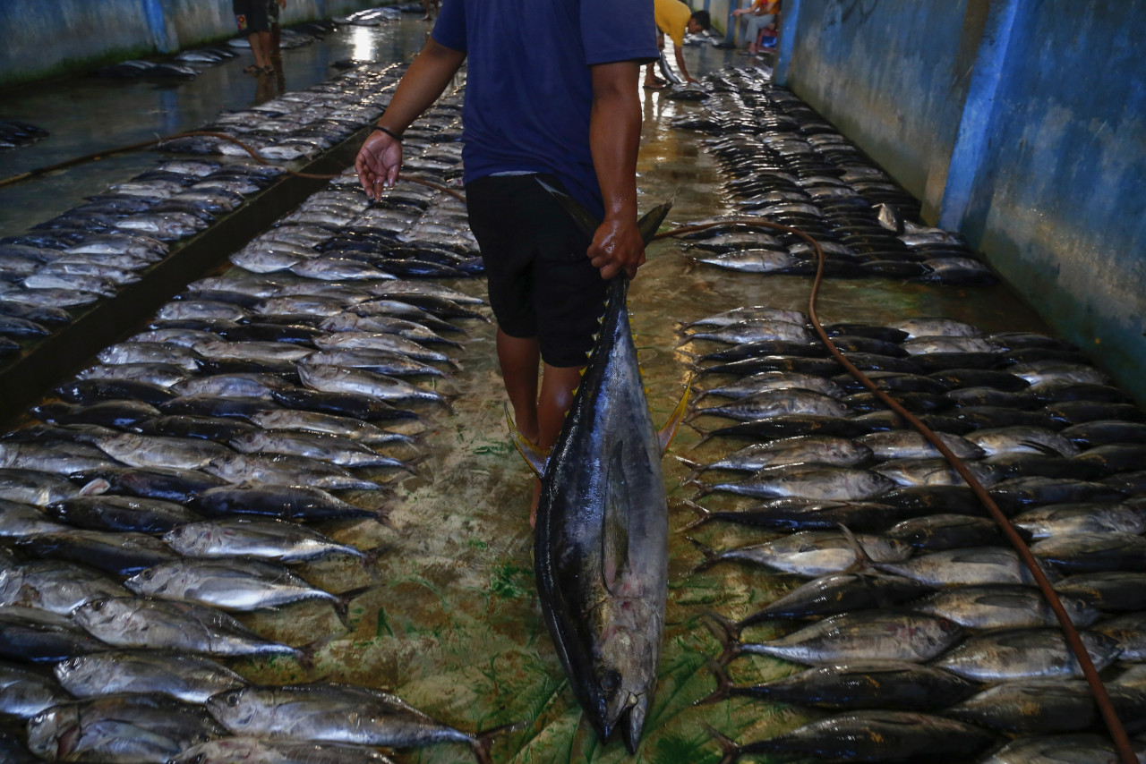 The presence of microplastics in the digestive tract of fish can lead to unhealthier and reduced fish populations due to malnutrition, while having dire consequences for human health, such as digestive disorders and even poisoning. – AFP pic, February 10, 2023