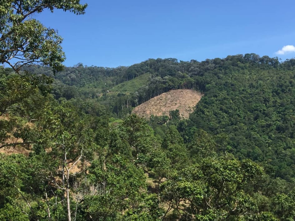 A large, bald patch seen on Laksamana Hill, where commercial farmers are suspected to have encroached onto land that do not belong to them. – File pic, October 9, 2021