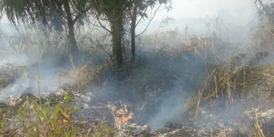 An image shows a forest fire raging in Mukah district in central Sarawak. – Sarawak Fire and Rescue Department pic, September 4, 2023 