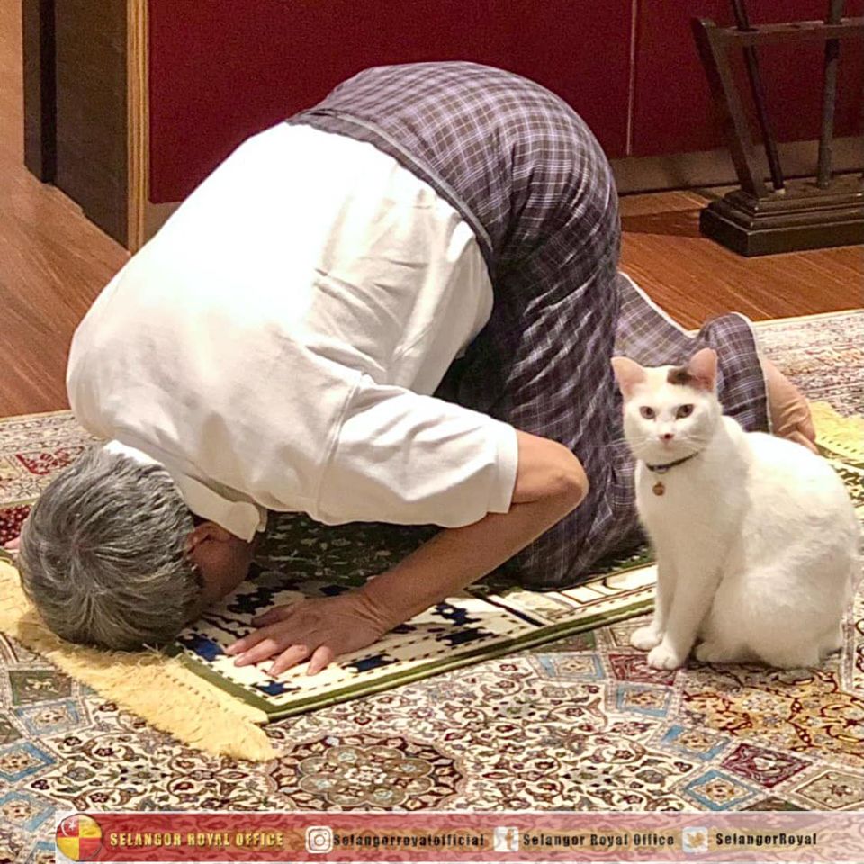 Sultan Sharafuddin Idris Shah performing prayers with Snowy beside him. – Selangor Royal Office Facebook pic, January 23, 2021
