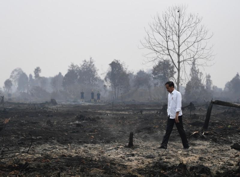 Indonesian President Joko Widodo walks through an area affected by burning. In Indonesia, air pollution is estimated to cause 123,000 premature deaths annually, making it one of the top 10 worst countries for air-pollution deaths. – Reuters pic, September 13, 2022